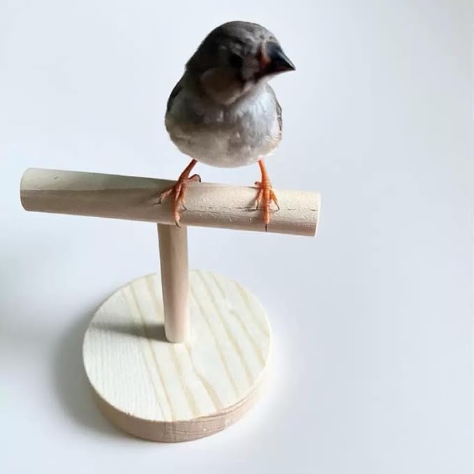 Wooden Bird Perch Stand for Small Birds, Tabletop Parrot Play Stand with Round Base, Portable Training Rest Platform for Budgies, Lovebirds, Parakeets, Cockatiels, 10 x 8.5 cm