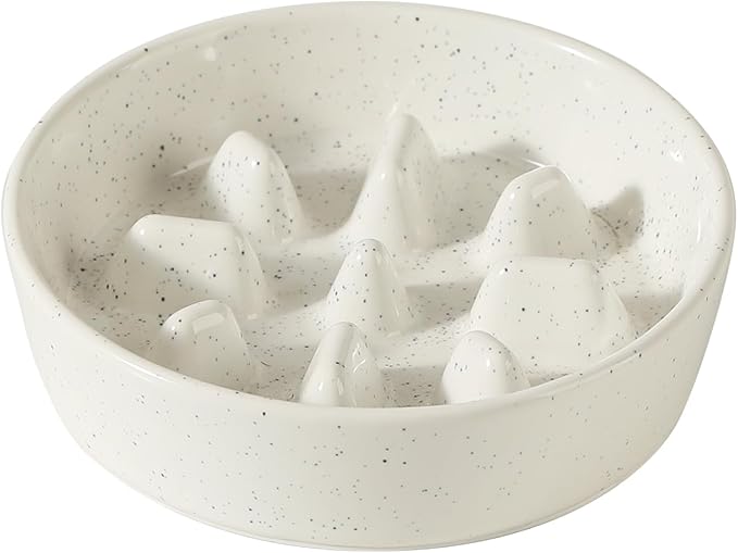 Havniva Slow Feeder Dog Bowls, 0.9 Cups Ceramic Dog Food Bowls 6.1 inch Slow Feeder for Small Dogs Puzzle Bowls for Fast Eater, Pet Slow Feeding Dish Anti-Choking