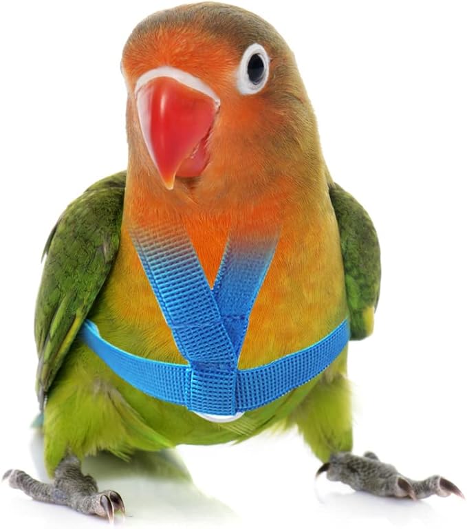 Pet Parrot Bird Harness Leash Adjustable Bird Flying Harness Traction Rope with Cute Wing for Parrots Pigeons Budgerigar Lovebird Cockatiel Mynah Outdoor Training Toy (Blue,XS)