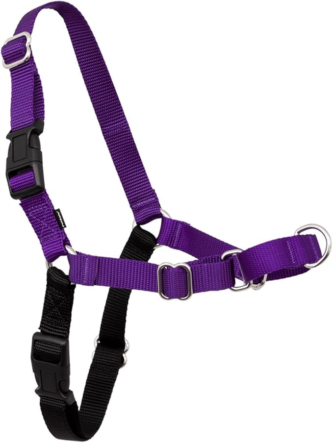 PetSafe Easy Walk No-Pull Dog Harness - The Ultimate Harness to Help Stop Pulling - Take Control & Teach Better Leash Manners - Helps Prevent Pets Pulling on Walks - Medium/Large, Black