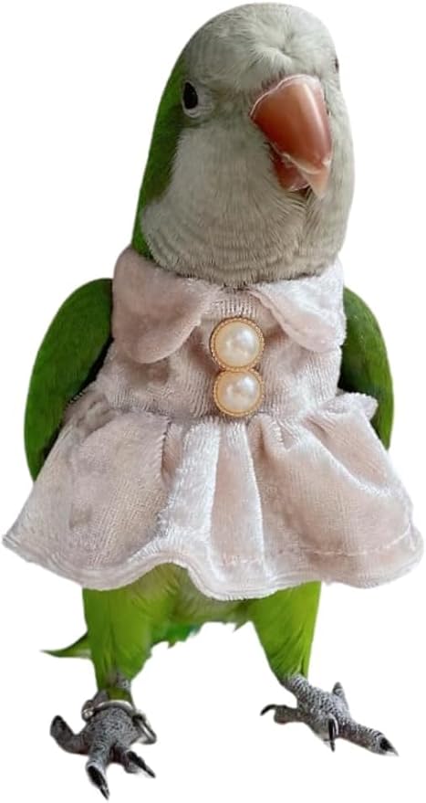 Bird Costume Bird Diaper Flight Suit Parrot Velvet Fleece Skirt Clothes Cosplay Photo Prop for Conure Lovebird Parakeet Cockatiel Macaw Small Animals Apparel (White,Sulphur-Crested Cockatoo)
