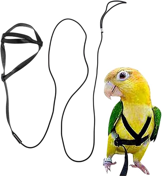Adjustable Bird Harness and Leash,Anti-Escape Durable Nylon Parrot Harness, Flying Training Rope Parrot Leash for Small Medium Large Breed Parrots Fits Chest Under 24.4'', Black L
