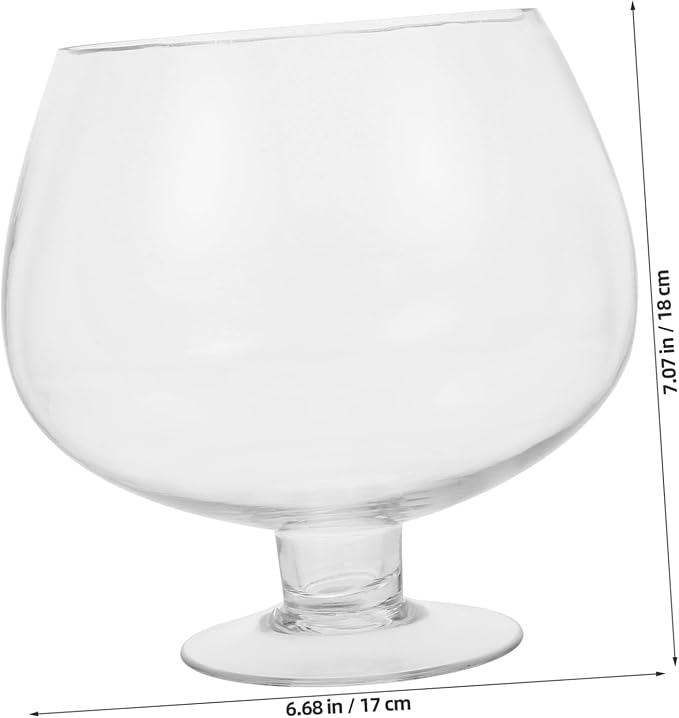 BESPORTBLE Clear Bubble Bowl, Glass Vase with Stand Fish Bowl Clear Planter Terrarium Globe Flower Vase Hydroponic Kitchen Table Centerpiece Footed Pedestal