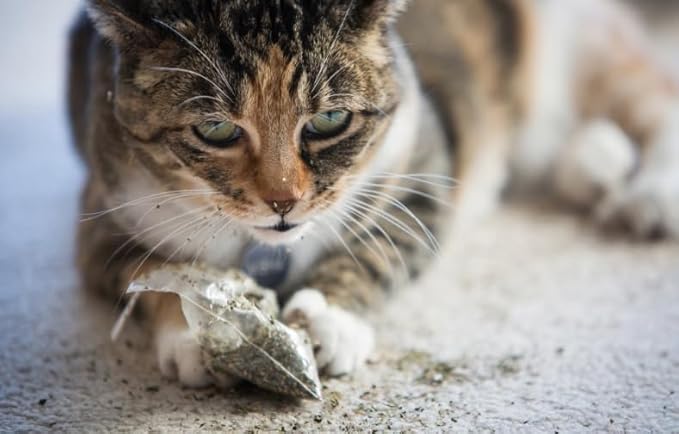 Catnip Blend - North American Crafted, 100% Natural, and Non-Addictive Catnip Treats for Enhanced Playfulness. Ideal for Complementing Catnip Toys (4 Cups) (32 oz)