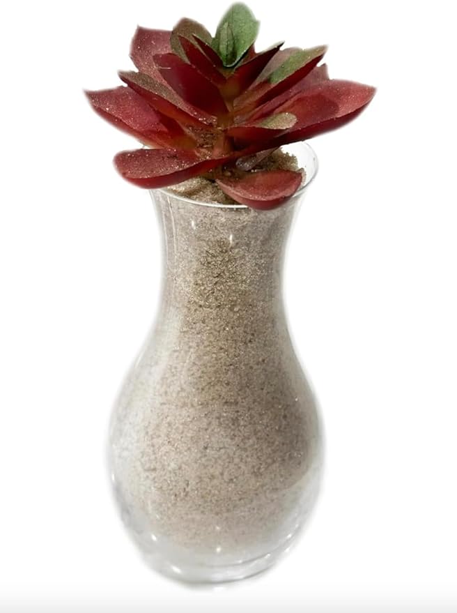 3 Pounds Natural Decorative Real Sand for use in Crafts, Decor, Vase Filler and More | Natural and Non-Toxic, Fun Wet and Dry Indoor and Outdoor, Sandbox, Therapy, and Table Use. W/Container.