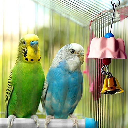 1PC Random Parrot Beak Trimmer Stone Chinchilla Grinding Teeth Lava Block Mineral Rock Chewing Toy with for Macaw Calcium Powder