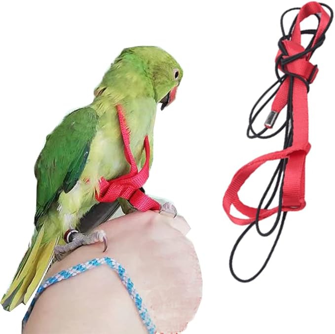 Adjustable Birds Harness and Leash Parrot Harness Leash Training Supplies Pet Anti-bite Outdoor Flying Rope for Conures Budgerigar Lovebird Cockatiel Mynah (S, Red)