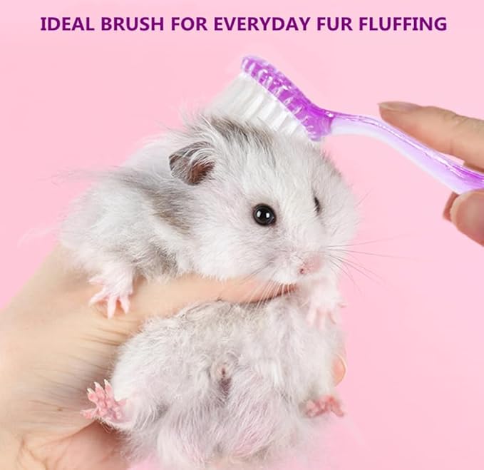 3PC Small Animal Bath Brush with Lid Soft Cleansing Brush Massage Combs for Hedgehog Guinea Pig Rabbit Chinchilla Ferret Small Animal Grooming Tool Cleaning Supplies