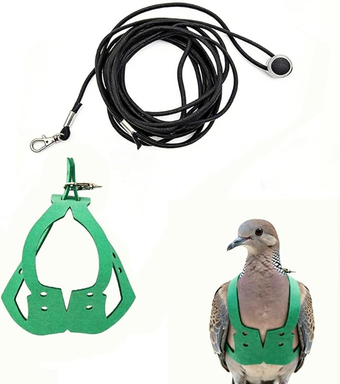Adjustable Bird Harness & Leash Set for Small Birds,FitsBudgie,Parakeets, Conures, Cockatiels,Green Cheek,Quaker Parrots(Green, XL) Z6350-13