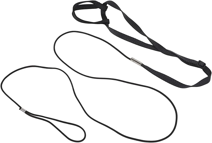 Parrot Harness Leash, Adjustable Buckle Elastic Rope Easy to Wear Convenient String for Cockatiel Lovebird Outdoor Playing Parties (XS)