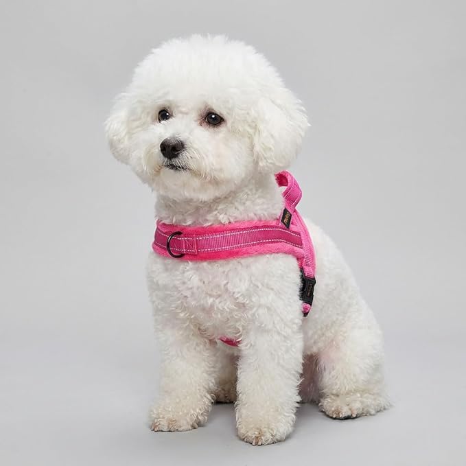 Didog Soft Flannel Padded Dog Vest Harness, No Pull/Quick Fit Reflective Dog Strap Harness, Easy for Training Walking (XS:Chest 15-18", Hot Pink)