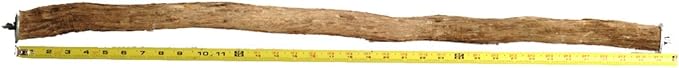 Polly's Full Length Hardwood Bird Perch, 36-Inch