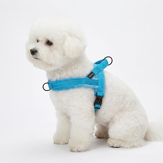 Didog Soft Flannel Padded Dog Vest Harness, No Pull/Quick Fit Reflective Dog Strap Harness, Easy for Training Walking (XS:Chest 15-18", Blue)