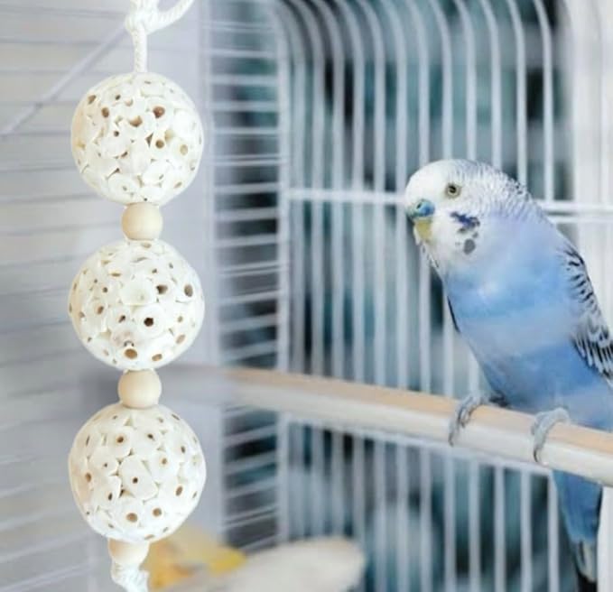 Shred and Destroy Bird Toy for Small Birds - Budgies, Lovebirds - Natural Sola Ball Hanging Chew Toy - 2 Pack - Boredom Buster Cage Toy