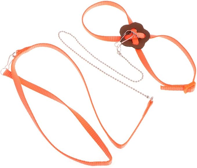 Pet Bird Harness Leash, Adjustable Parrot Flying Rope, Bright Color for Parrots, Pigeons, Lovebird, Outdoor Training, Anti-Flyaway, Green, Purple, Pink, Blue, Orange, 0.8x120cm/0.31x47.24''