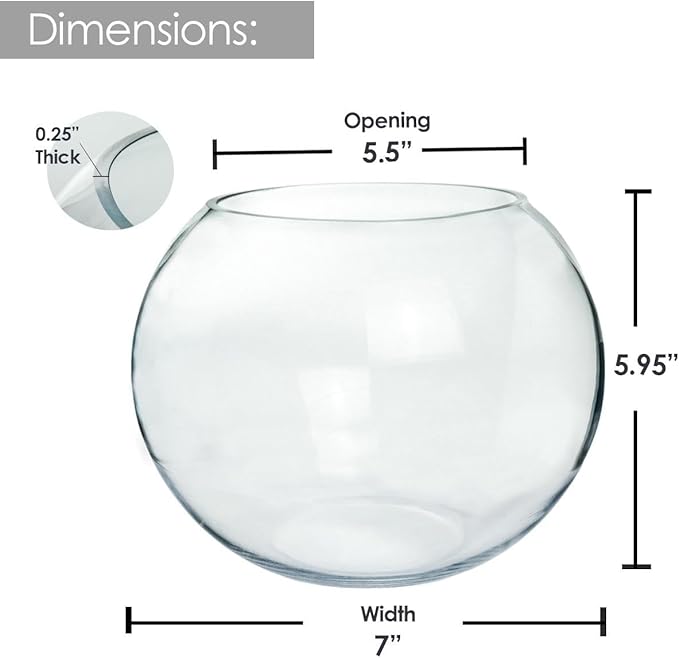 Glass Bubble Vase, 6" Height x 8" Width, Set of 4 Glass Fish Bowl Vase, Bubble Bowl vase for Terrarium, Flower Vase Centerpiece