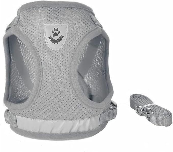 FEimaX Dog Harness and Leash Set for Walking, Soft Mesh Adjustable Easy Control Lightweight Cat Vest Harnesses with Reflective Strips, Escape Proof Small Dogs Cats Vests (Grey, X-Small)