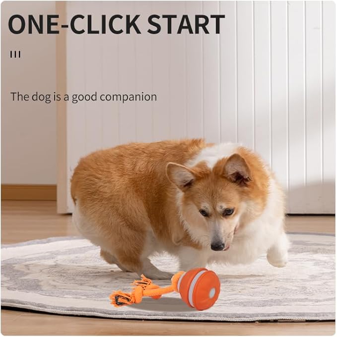 Interactive Dog Toys Dog Ball,Automatic Rolling and Bouncing Moving Dog Toy,Squeaky Rolling Balls with Flashing Light,USB Rechargeable Chew Toys for Puppy Small Dogs, Pet Ball to Keep Them Busy
