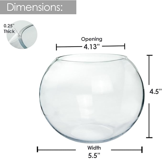 Glass Bubble Bowl, 4.5" Height x 6" Width Glass Fish Bowl Vase, Bubble Bowl vase for Terrarium, Flower vase Centerpiece