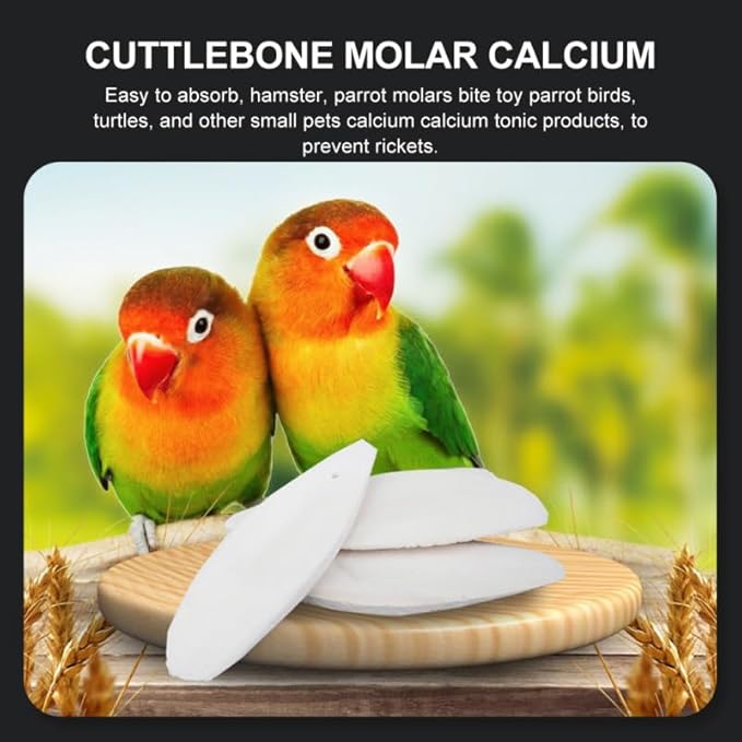 UKCOCO 12 Sets Natural Cuddle Bone Chew Toys, Chewing Cuttlefish Bone Bird Parrot Cage Bite Toys for Parakeets Cockatiel Macaw Conur 10-12CM