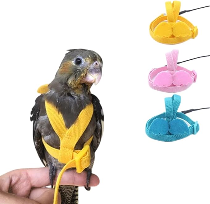 3pcs Parrot Flying Harness Leash Suit Pet Bird Outdoor Flight Training Rope Cockatiel Supplies Macaw Accessories Stuff for Budgie