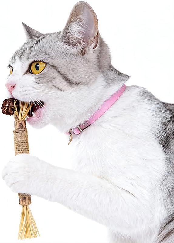 Silvervine for Cats: Cute Cat & Kitten Toys for Indoor Cats Interactive‖ Cat & Kitten Teething Chew Toys for Aggressive Chewers,Silvervine Sticks Cat Dental Toy (4PCS)