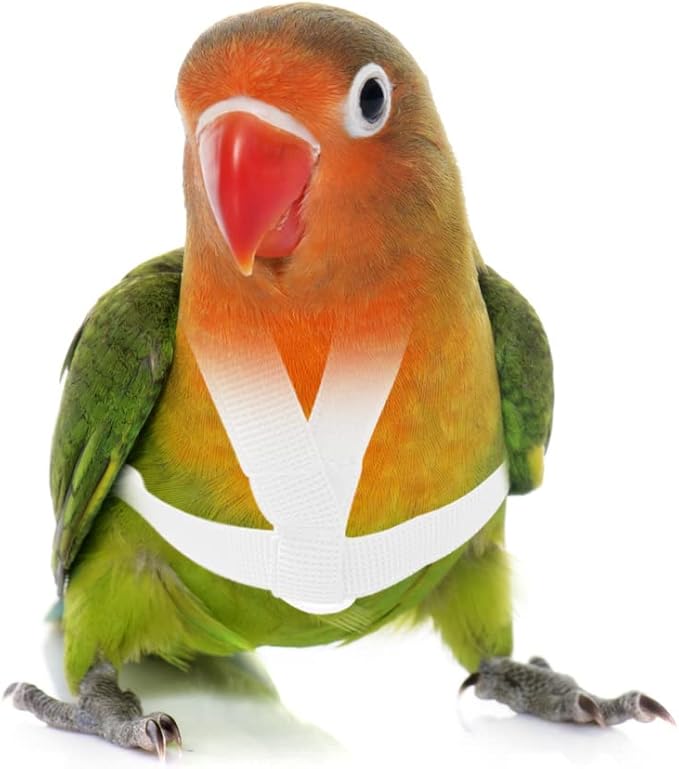 Pet Parrot Bird Harness Leash Adjustable Bird Flying Harness Traction Rope with Cute Wing for Parrots Pigeons Budgerigar Lovebird Cockatiel Mynah Outdoor Training Toy (White,XS)