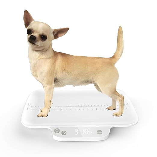 Dog Scale for Small Dogs,with Hold funtion,Kitten Scale,Accuracy1g/0.035 oz, Max15 kg / 33 lbs, Suitable for Newborn Pets, Kitten,Chihuahua,Cats