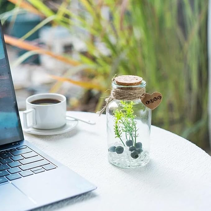Moss Balls Glass Terrarium Kit - 7 Pcs Glass Terrarium Decor with White Crystal, DIY Aquarium and Home Decor for Desk and Room Styling