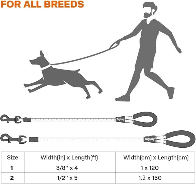Taglory Rope Dog Leash 4 FT with Comfortable Padded Handle, Highly Reflective Threads Leash and Anti-Tangle Clip for Walking Small Dogs, 3/8 inch, Blue
