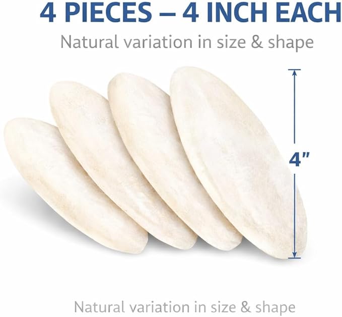 Birds LOVE 3.5-4″ Cuttlebone for Birds – 100% Natural Sun-Dried Calcium & Beak Conditioning Supplement for Parakeets, Budgies, Cockatiels, Finches & Canaries – 4 Pack with Holder – Made in Vietnam