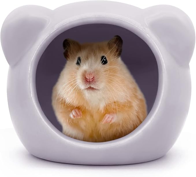 Ceramic Hamster House, Cute Animal Shaped Hamster Cave, Summer Cool Small Animal Hideout Habitat Decor for Dwarf Hamsters (Purple)