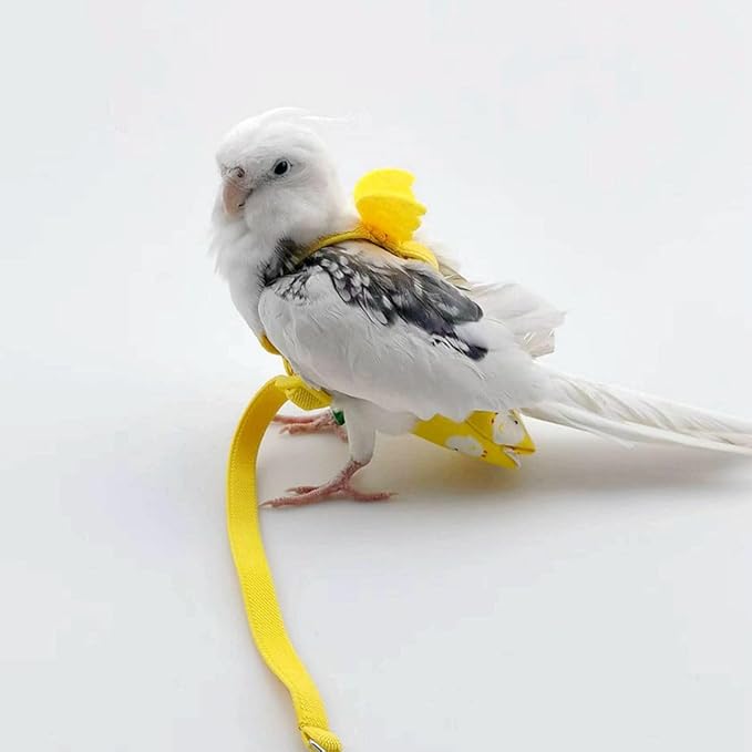 Adjustable Bird Diaper Harness Flight Suit Clothes with 80 Inch Flying Leash Rope for Parrots Conure Cockatiel (Green,XS)