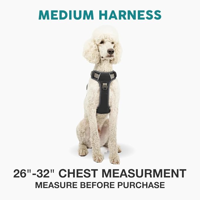 Embark Adventure Dog Harness, Reflective Trim No Pull Dog Harness Medium Sized - Military Grade Nylon, Front Clip with Gel Lined Handle. Soft & Padded Puppy Harnesses for Any Breed