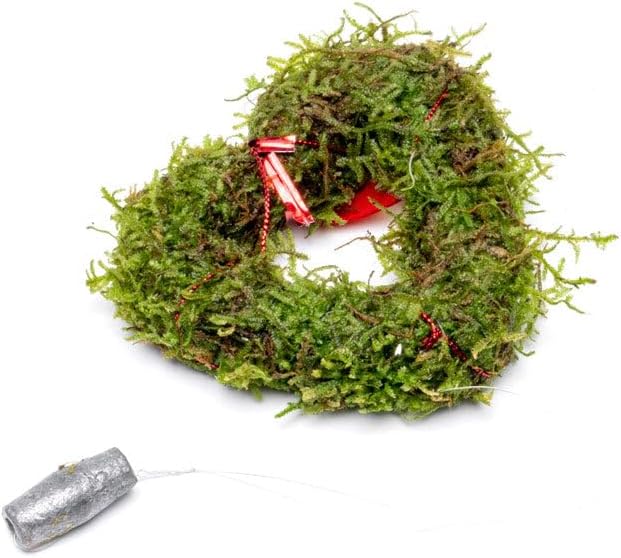 Live Aquarium Plants on Driftwood, Lava Rock, Moss, Fiber Mat - Freshwater Fish Tanks - Easy, Beginner Friendly (Heart Shaped Christmas Moss Wreath)
