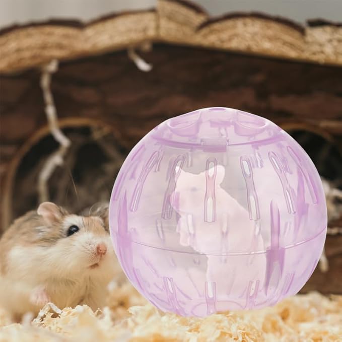 POPETPOP 2pcs Hamster Exercise, 4 Inch Hamster Running Transparent Plastic Wheel Guinea Pig Sports for Dwarf s Small Pets Supply