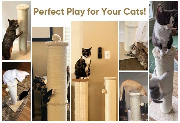 PAWSCRAT Cat Scratching Post 32 Inch High, 5.5 Inch Large Diameter Natural Sisal Cat Scratch Post, Scratch-Resistant and Durable Tall Cat Scratcher for Indoor Cats, Protect Your Furniture, Beige