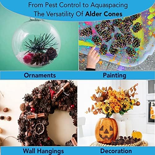 JOR 30 Pack Alder Pine Cones, Aquarium Decor Benefits Shrimp and Tropical Fish, Lower pH, Softens Water, Foraging Chew Treat for Parrots & Guinea Pig