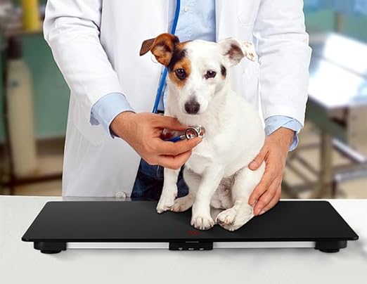 Helsevesen Medium Breed Veterinary Dog Scale, Digital Pet Scale with 27.6 x 17.7 inch Tempered Glass Platform with Anti Slip Sticker, 330 Lb Capacity