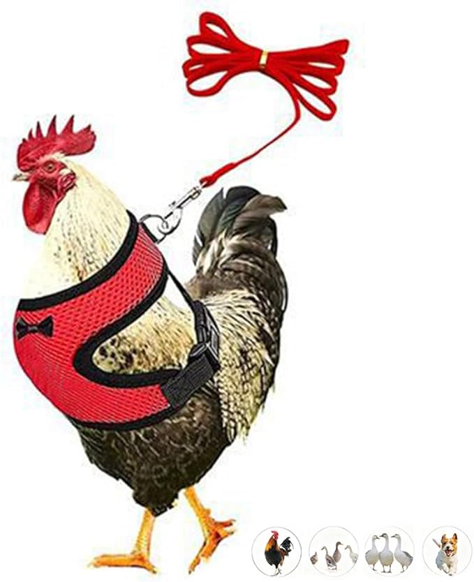 Chicken Harness and Leash Set Adjustable Mesh Breathable Duck Training Harness Pets Leashs for Goose Hen Rooster Parrots Dog Kitten, Red M