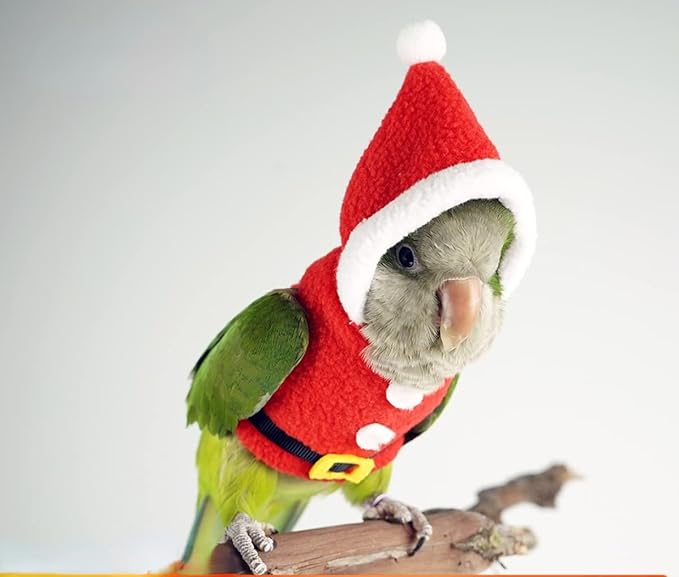 Bird Clothes Birds Flight Suit, Christmas Hoodie for Parrots Cockatiel Sun Conure Christmas Party Cosplay Photo Prop Bird Shirt Small Animals Apparel (with Diaper,Hahn's Macaw)