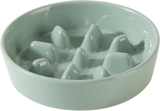 Havniva Ceramic 1.2 Cup Dog Bowl Slow Feeder, 7.3 inch Slow Pet Food Dish for Medium and Small Dog, Stop Bloat, Preventing Choking(Single Bowl, Light Green)