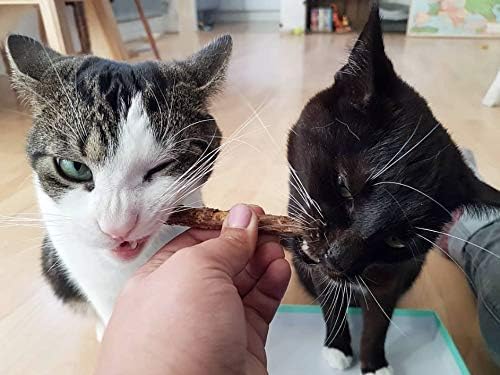 Meowy Janes Matatabi Chew Sticks 2.0 - Silvervine Powder Coated Vine - Natural Cat Toy and Cat Treat