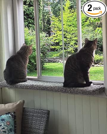 Purrched Cat Window Perch (24 Inch)