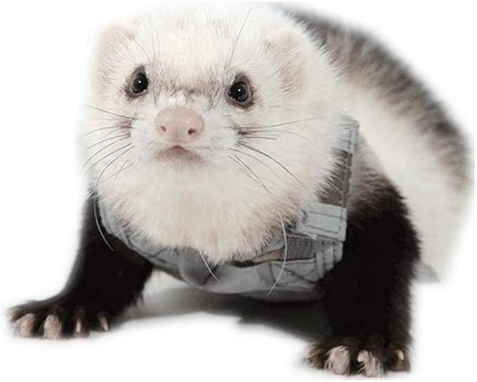 Ferret Clothes Small Animals Harness Military Style Adjustable Shoulder Straps Soft Mesh Comfort Durable Nylon Padded Vest Ferret Guinea Pig Hamster Bunny Kitten Puppy Small Pet Clothes Accessory