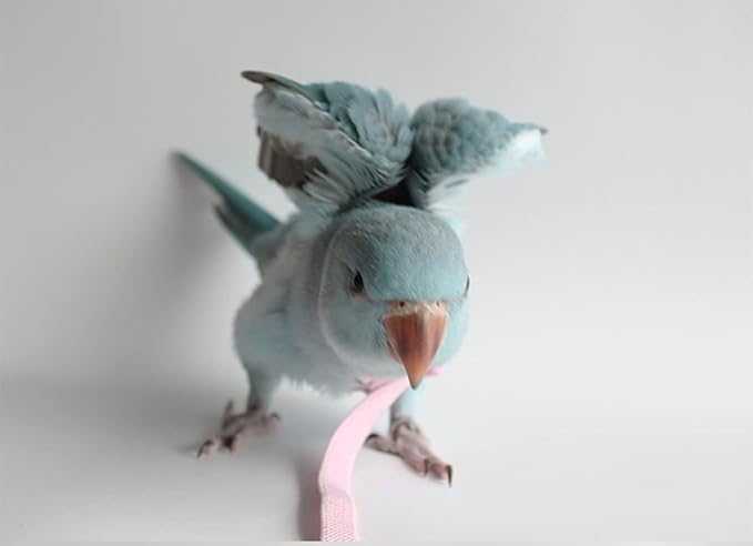 Pet Parrot Bird Harness Leash Adjustable Bird Flying Harness Traction Rope with Cute for Parrots Budgerigar Lovebird Cockatiel Mynah Outdoor Training Toy (Mynah,Pink)