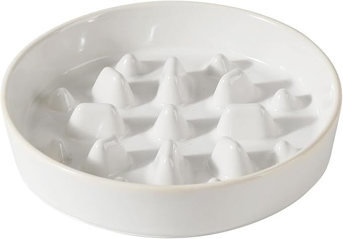Havniva Slow Feeder Dog Bowls, 1.6 Cups Ceramic Dog Food Bowls 8.2 inch Slow Feeder for Medium Dogs Puzzle Bowls for Fast Eater, Pet Slow Feeding Dish Anti-Choking