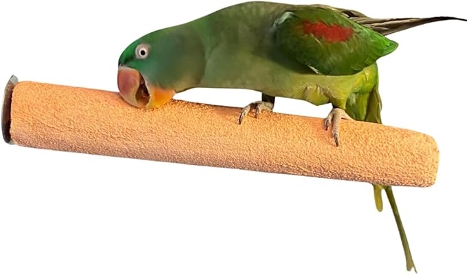 Polly's Pastels Nail Trimming & Beak Conditioning Safety Perch for Cockatiels, Cockatoos, Macaws, Parakeets, Budgies, Parrots and All Other Birds (Coral, Large Long-1 1/2" Dia. x 14" Long)