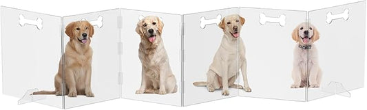 Clear Acrylic Dog Gate, 6 Panel 144" W x 31.5" H, Transparent Freestanding Pet Playpen Indoor, Foldable Pet Fence Barrier for Doorway with Handle/Support Feet