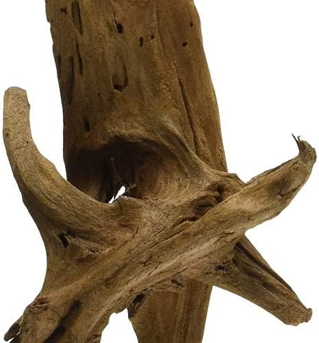 Galápagos (05285) Sinkable Driftwood Bed, Natural, Medium/11-13 (Pack of 2)